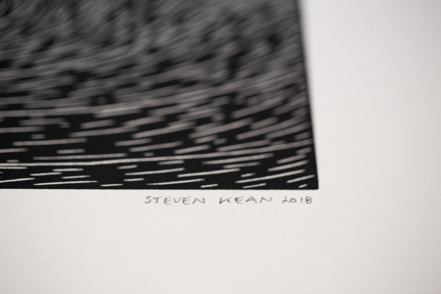 Original Linocut Print - 'Between Palms' (framed)