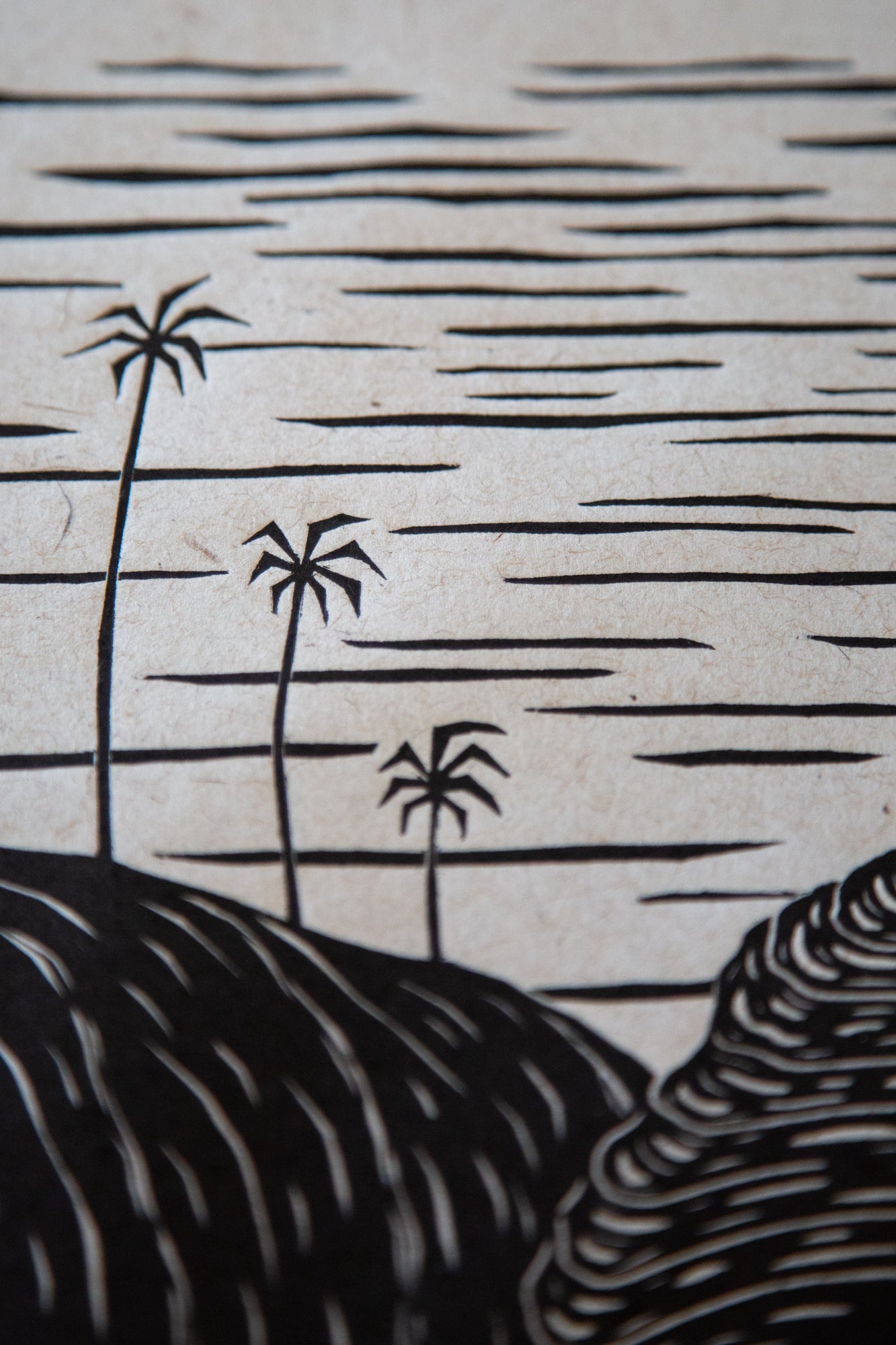 'Na Pali' Original Woodcut Print (framed) 8/25