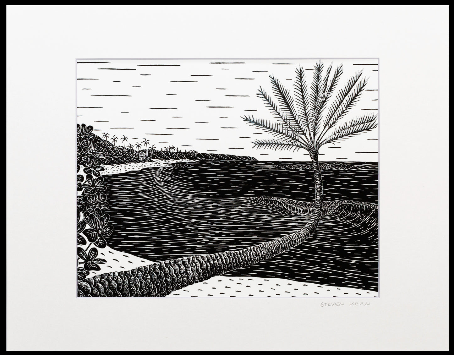 ‘Centenarian' 16x20 Giclee Print