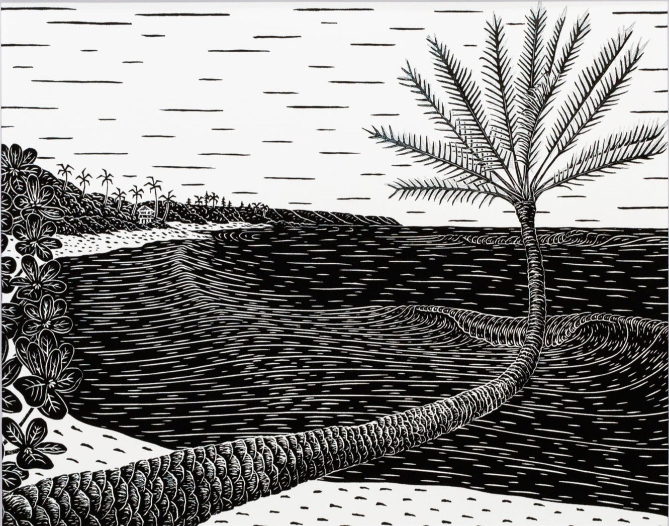 ‘Centenarian' 16x20 Giclee Print